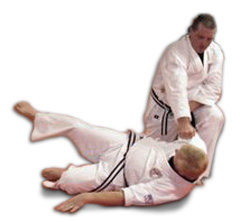 Adult Karate Class icon